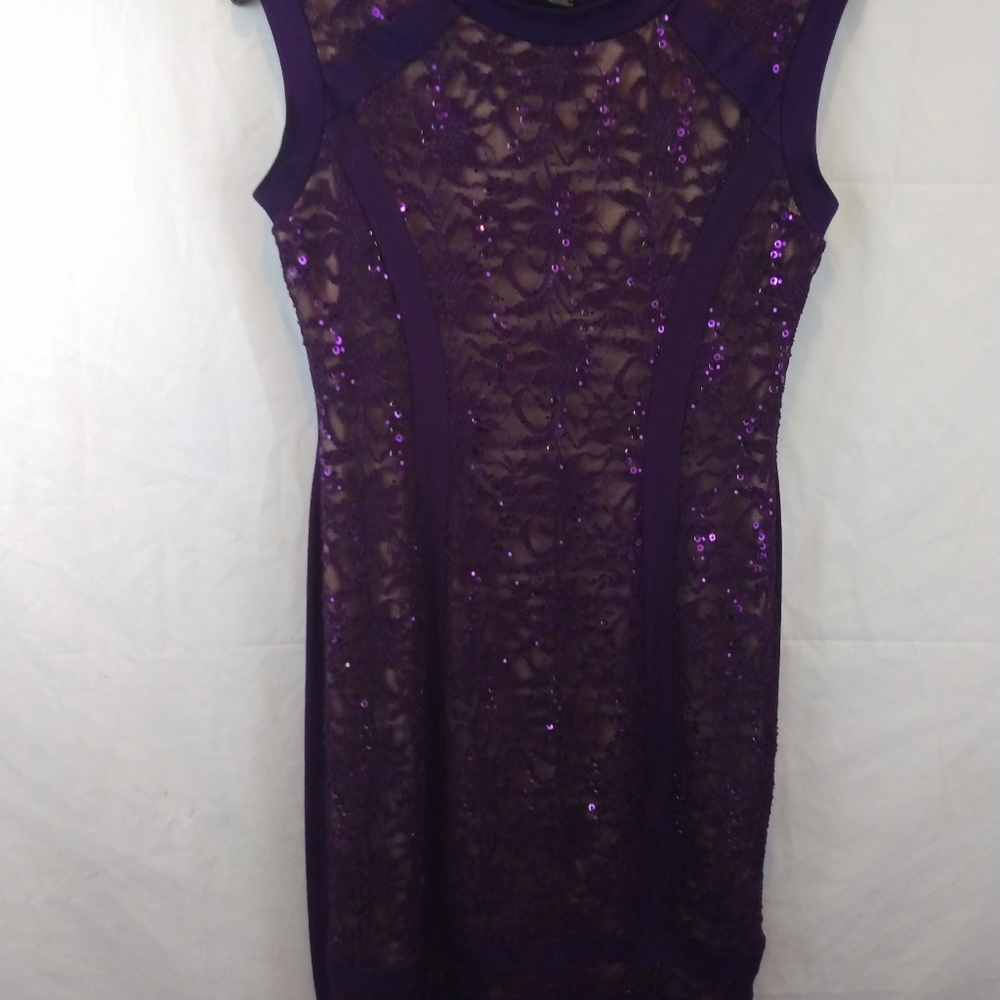 Candalite Purple Lace & Sequins Dress